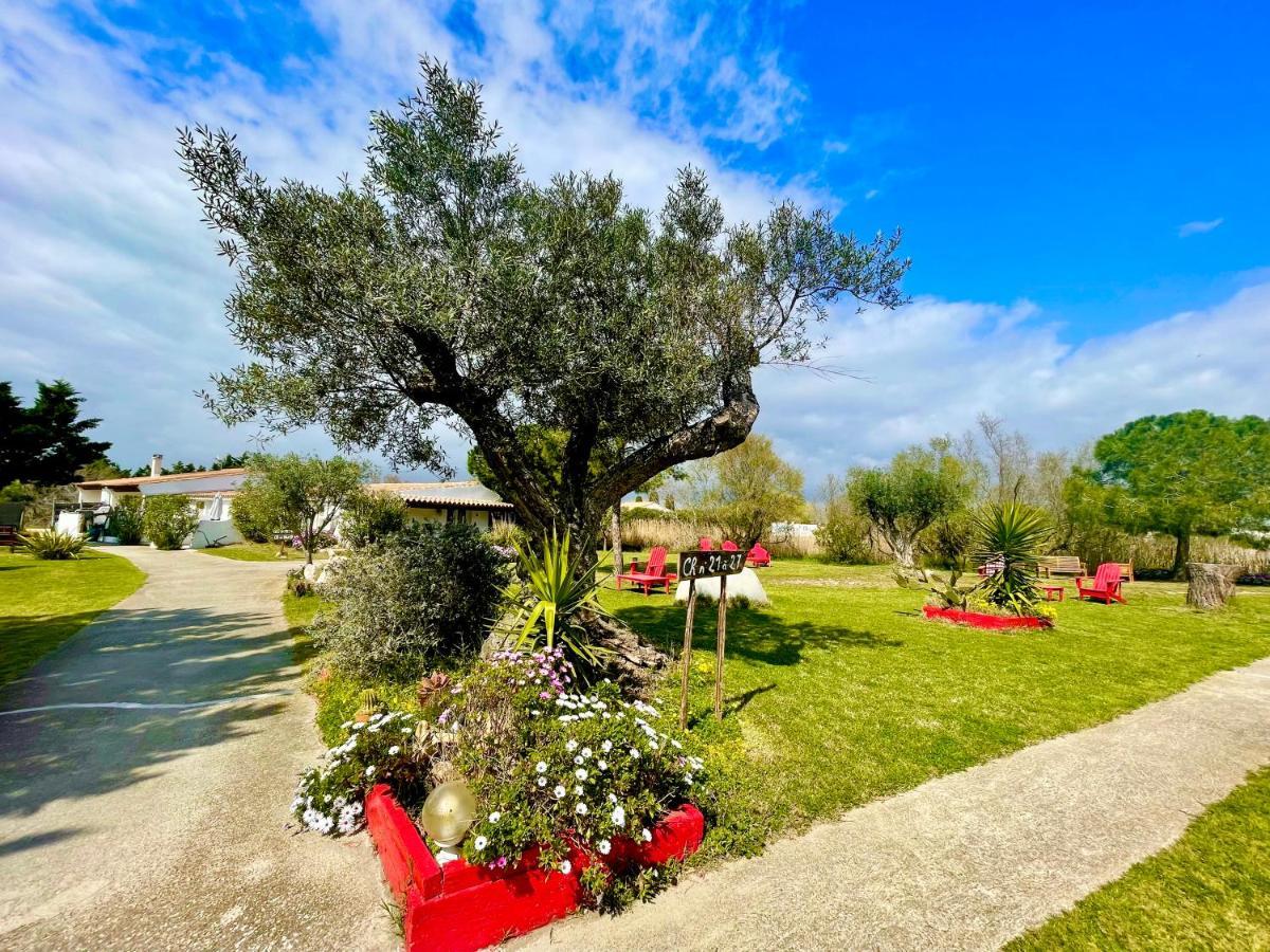 Mas Des Salicornes Hotel Saintes-Maries-de-la-Mer Luaran gambar